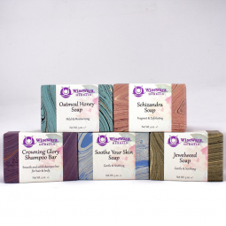WiseWays Soap Set